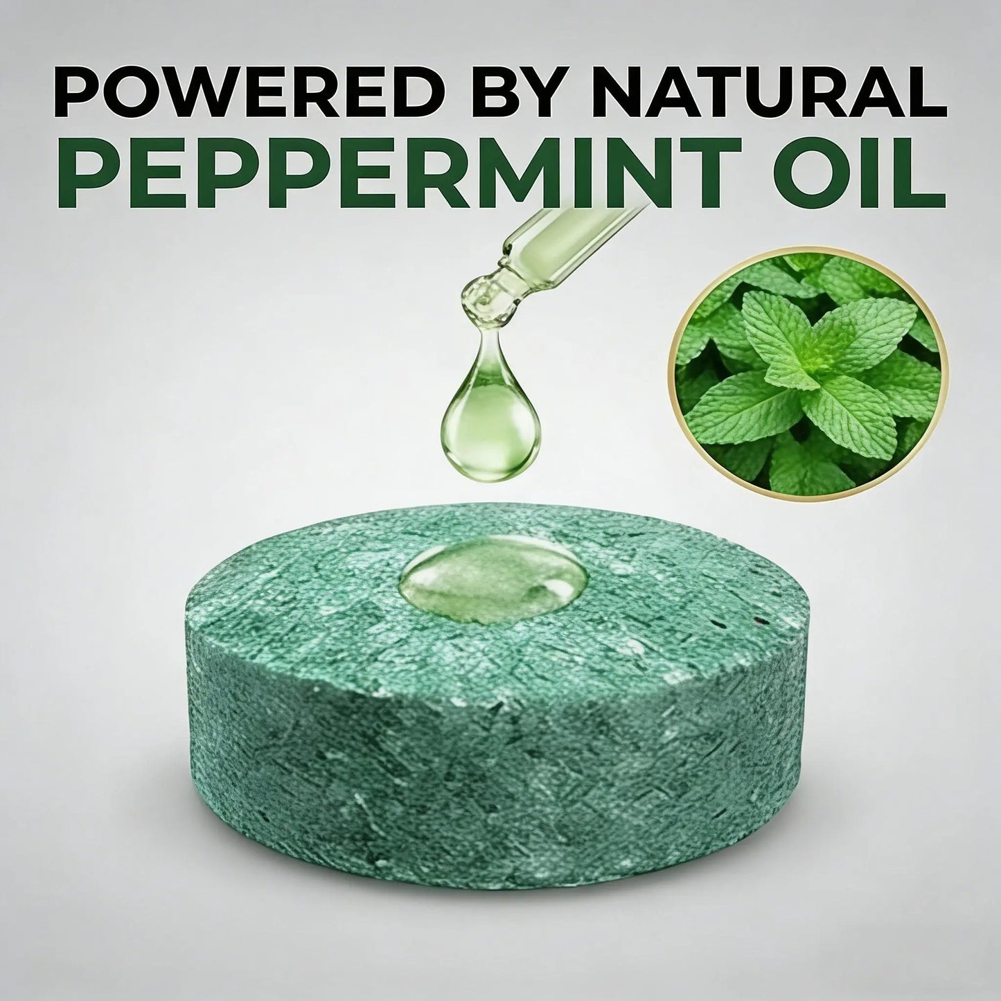 ⏰🔥Last Day 50% OFF!🏠🛡️ Natural Peppermint Oil Mouse & Insect Repellent Set🐾✅