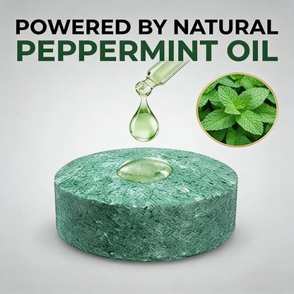 ⏰🔥Last Day 50% OFF!🏠🛡️ Natural Peppermint Oil Mouse & Insect Repellent Set🐾✅