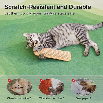 🌿Interactive Catnip Chew Toy | 6000mg Organic Catnip, Soft Sisal Scratching Kicker Toy for Indoor Kittens ✨