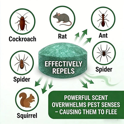 ⏰🔥Last Day 50% OFF!🏠🛡️ Natural Peppermint Oil Mouse & Insect Repellent Set🐾✅