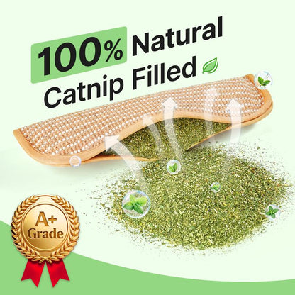 🌿Interactive Catnip Chew Toy | 6000mg Organic Catnip, Soft Sisal Scratching Kicker Toy for Indoor Kittens ✨