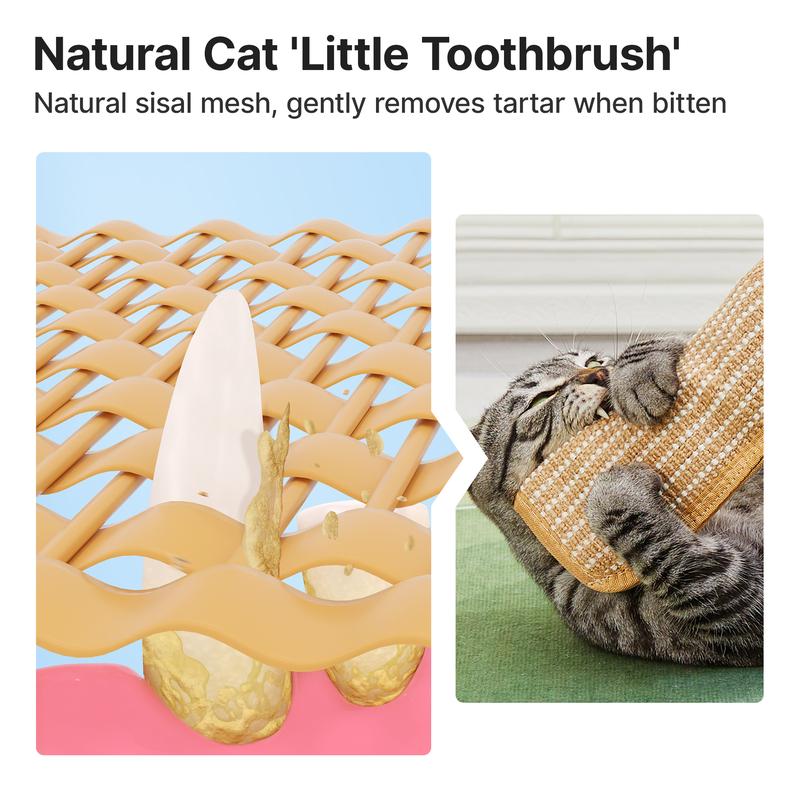 🌿Interactive Catnip Chew Toy | 6000mg Organic Catnip, Soft Sisal Scratching Kicker Toy for Indoor Kittens ✨