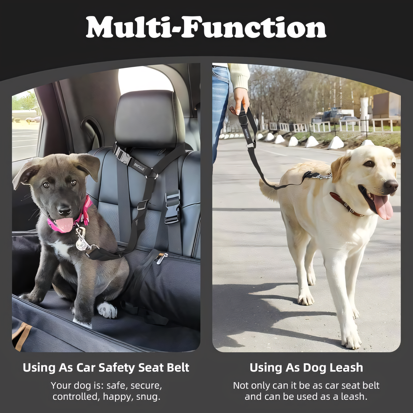 🐕 Protect Your Pup on Every Road Trip!🚗 Universal Fit Dog Car Seatbelt – Drive Safe