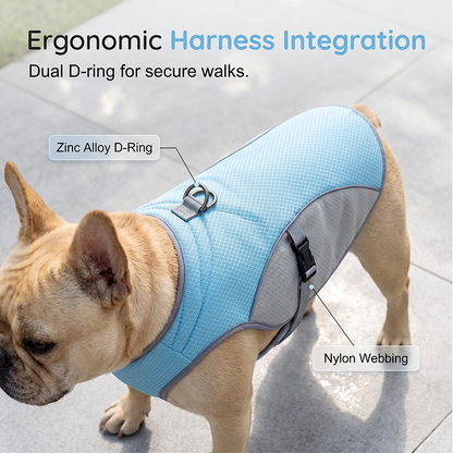 ☀️ Beat the Summer Heat! Instant Chill Dog Cooling Vest with Built-in Harness (⏰Save 50%)