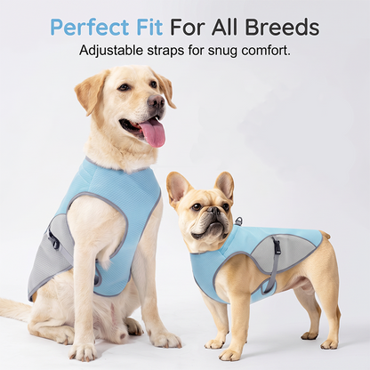 ☀️ Beat the Summer Heat! Instant Chill Dog Cooling Vest with Built-in Harness (⏰Save 50%)
